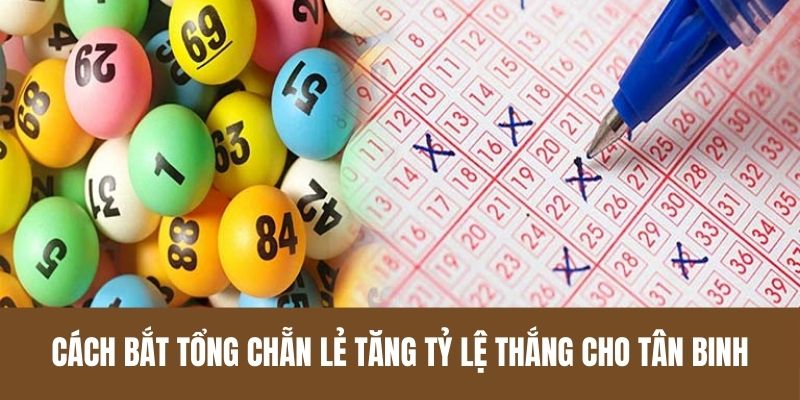 Cách bắt tổng chẵn lẻ tăng tỷ lệ thắng cho tân binh