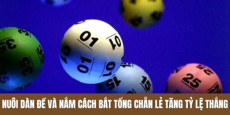 Nuôi dàn đề và nắm cách bắt tổng chẵn lẻ tăng tỷ lệ thắng