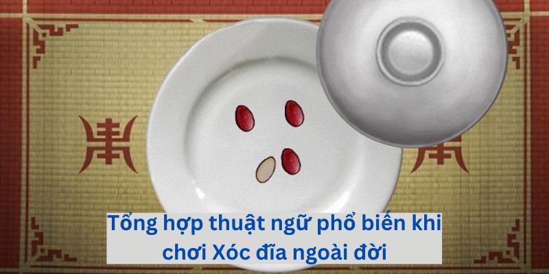 Tổng hợp thuật ngữ phổ biến khi chơi Xóc đĩa ngoài đời